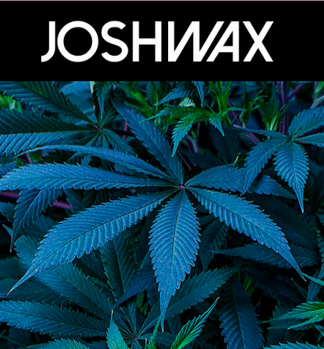 5 PACK ZOOMILK PREROLLS BY JOSHWAX