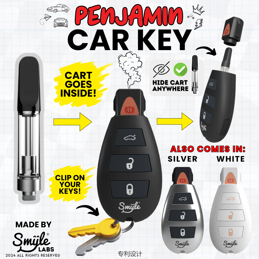 CAR KEY CART PEN - SILVER
