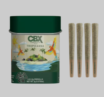 Tropicanna 0.5G Preroll 4 Pack