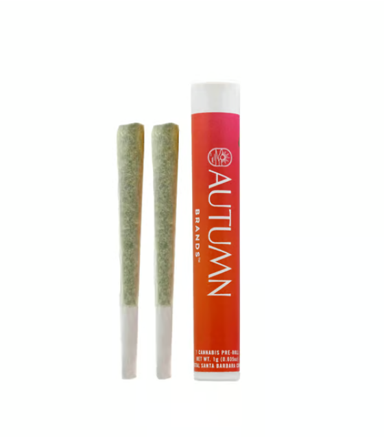 Bubblegum Gelato 2 Pack Prerolls