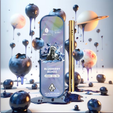 Blueberry Bandz 1G All In One Vape