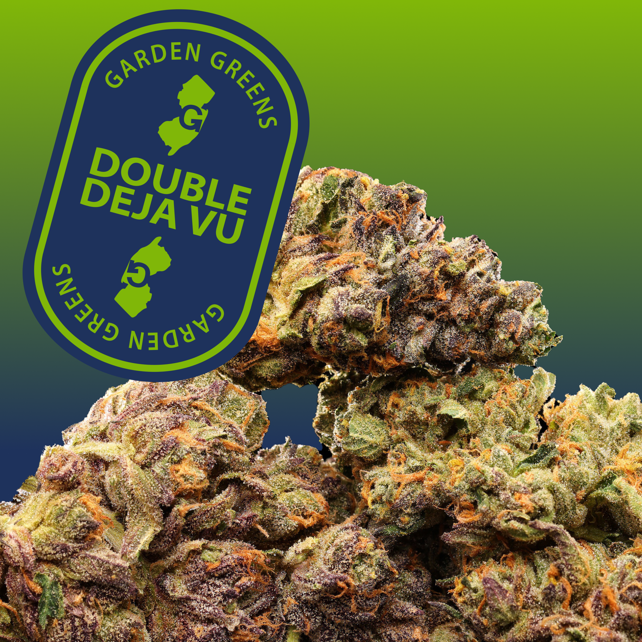 Double Deja Vu 7G Big Buds