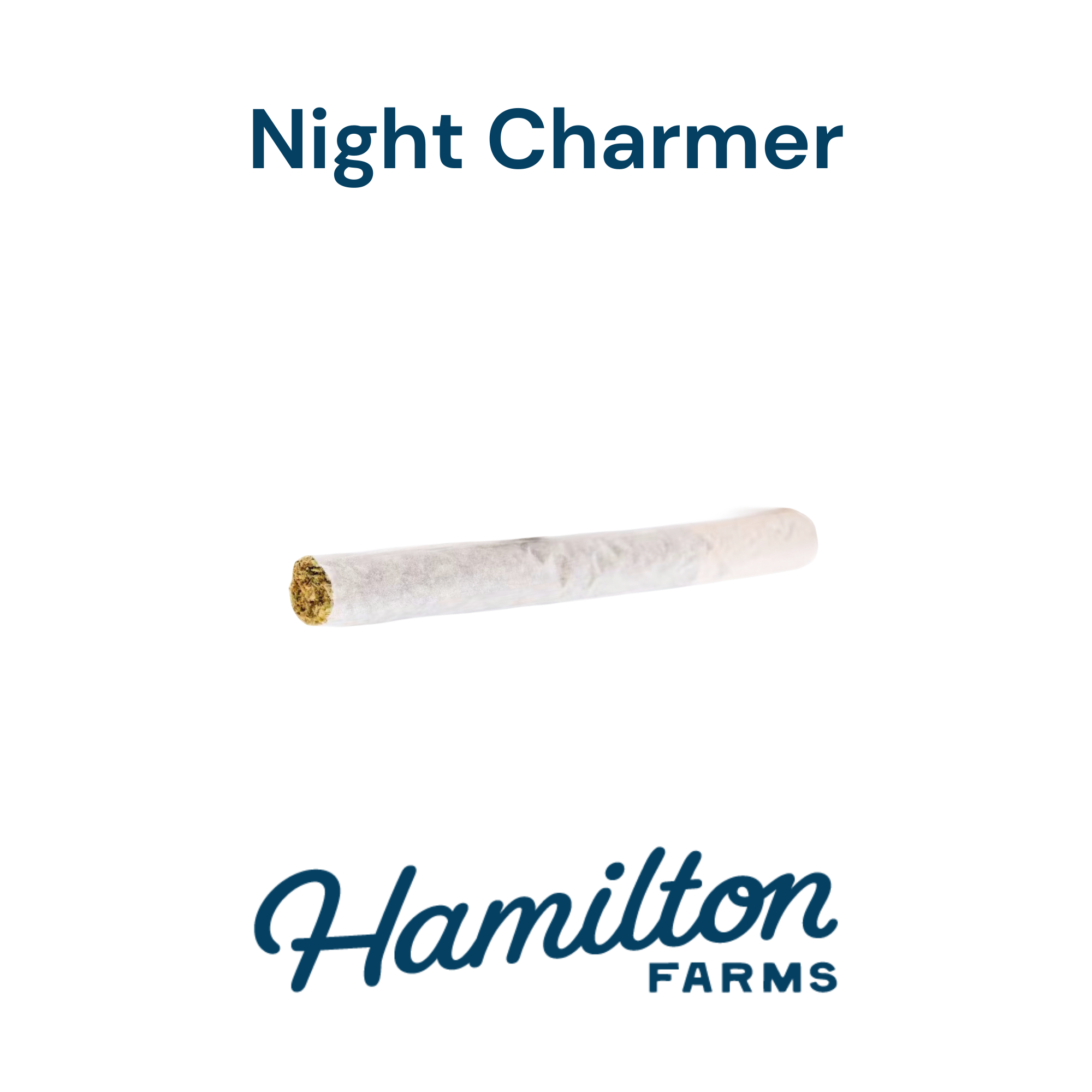 Night Charmer- 2PK/0.5G Prerolls