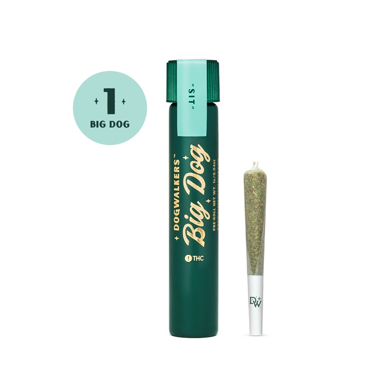 Cheddar Cheeze 1G Big DOGS Preroll | Sit