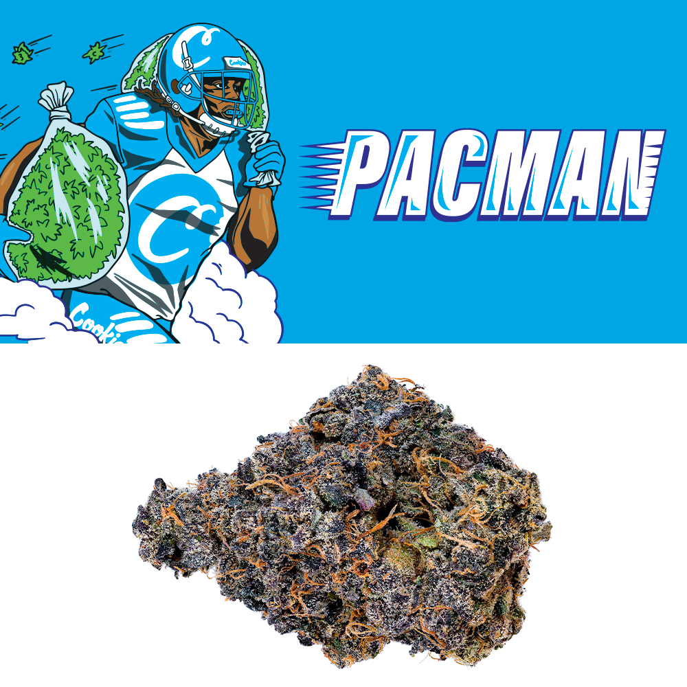 Pacman 7G Littles