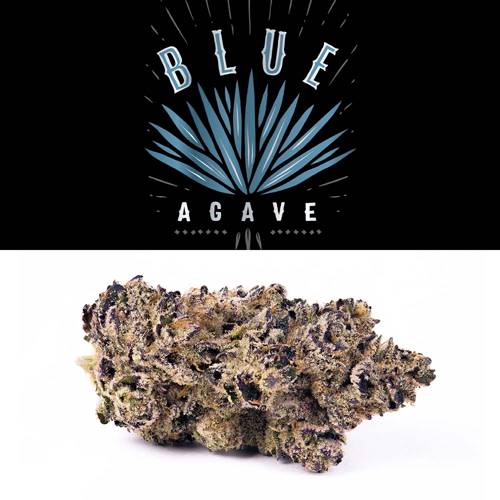 Blue Agave 3.5G Buds