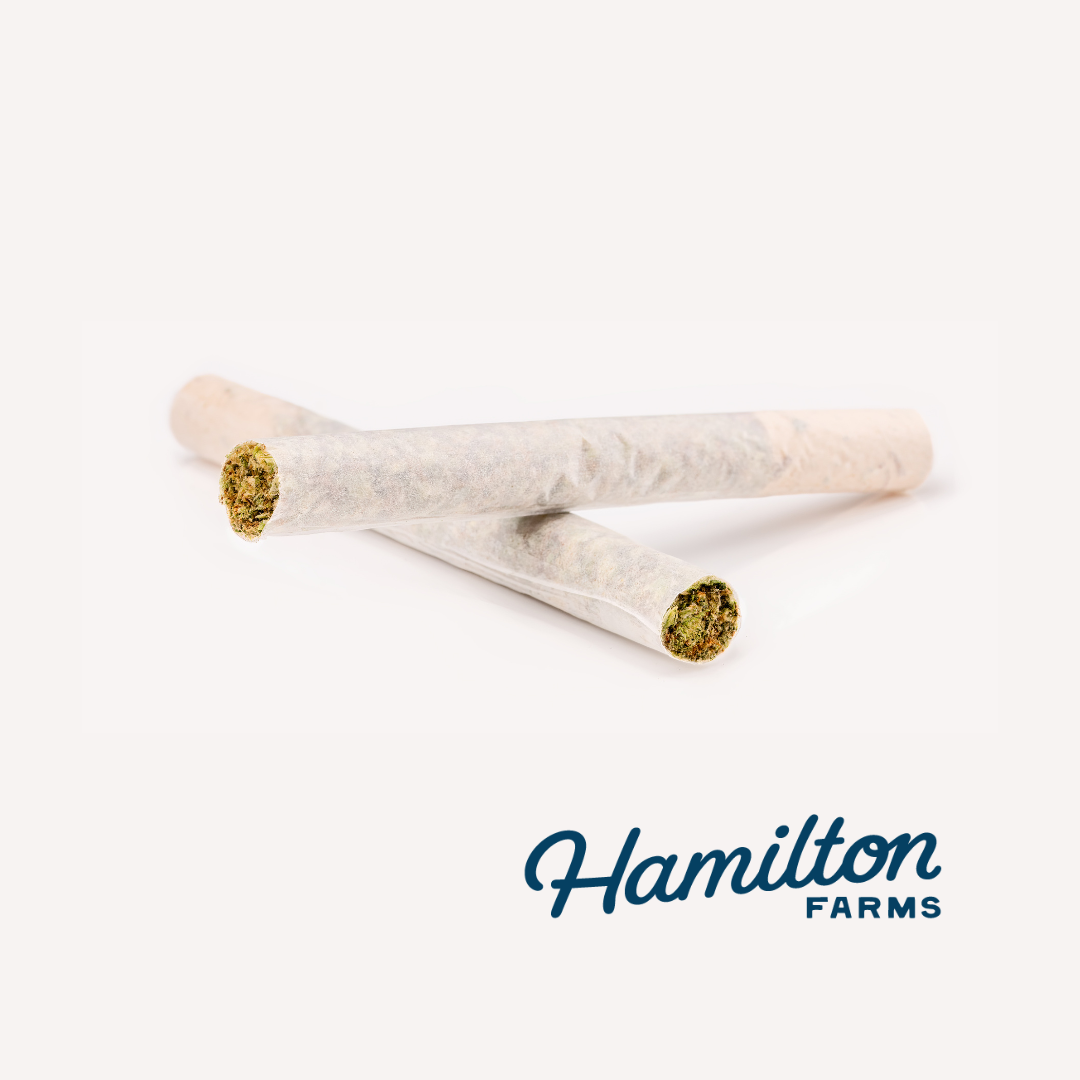 Russian Snow 2X0.5G Prerolls