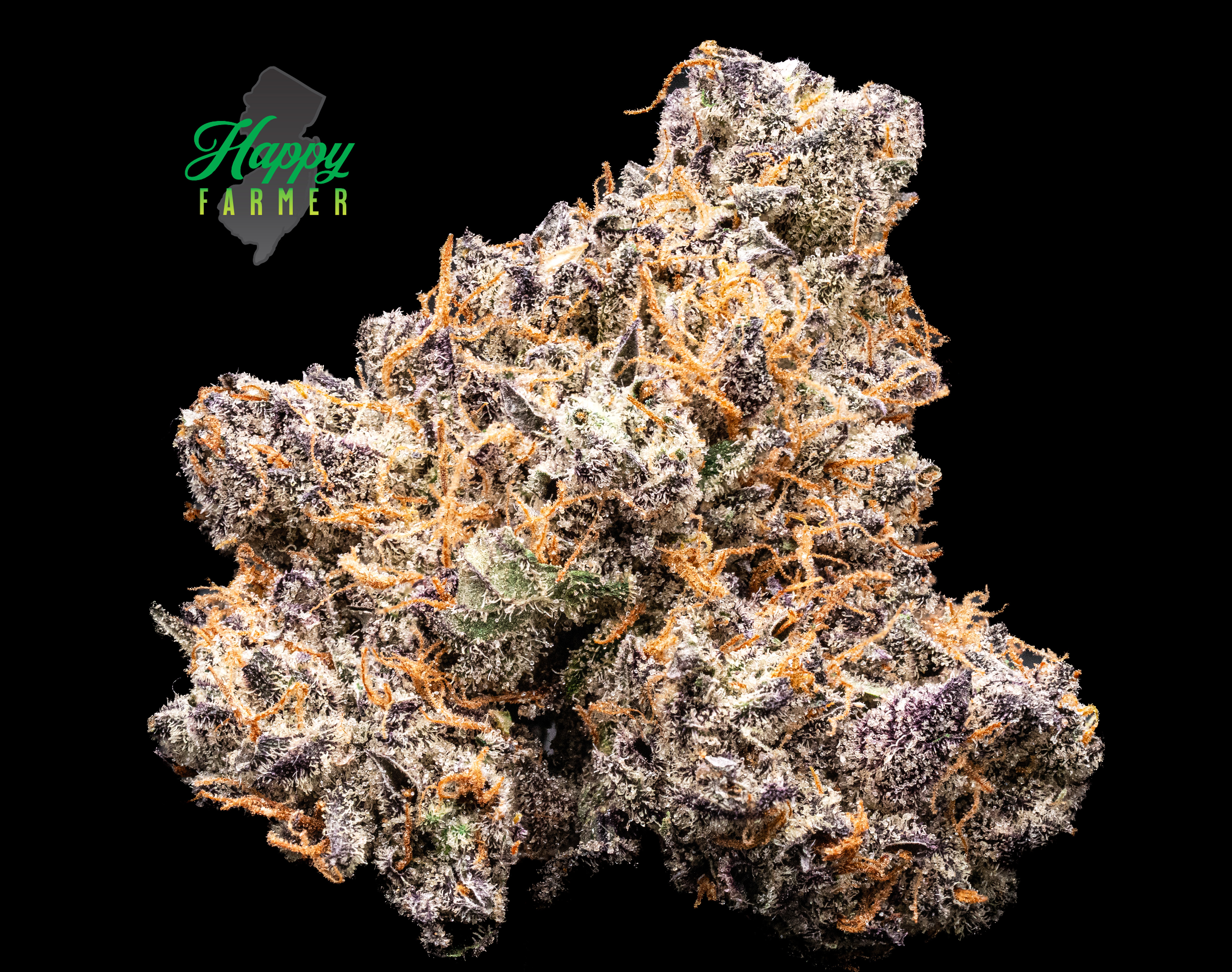 Candied Garlic 3.5G Flower