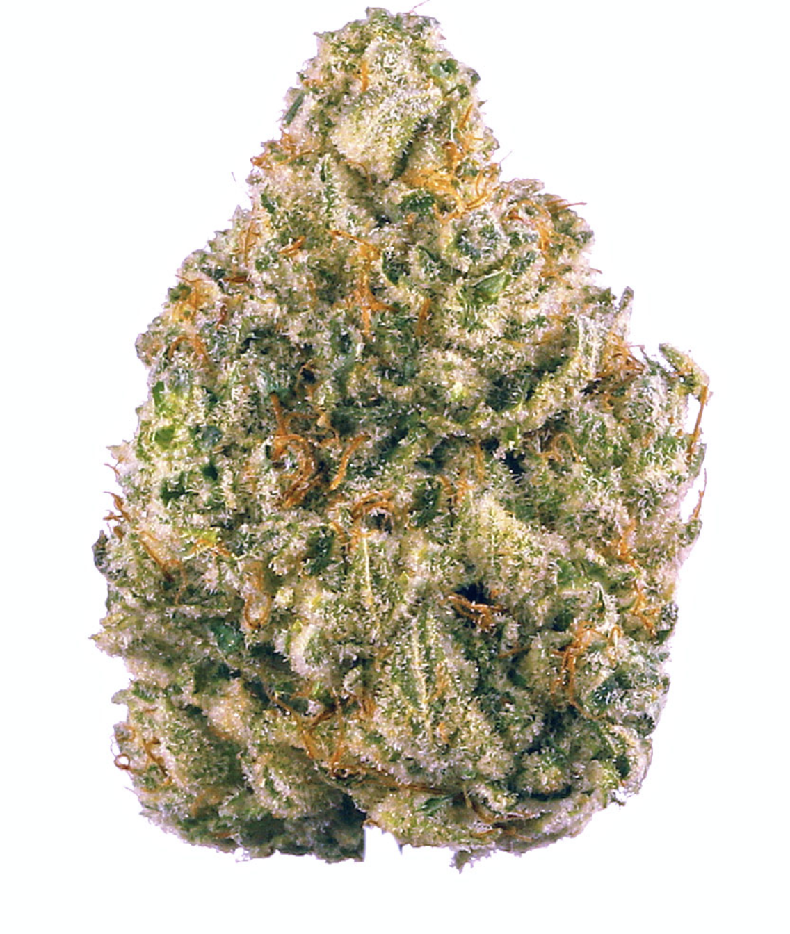 Obama Runtz 3.5G Flower