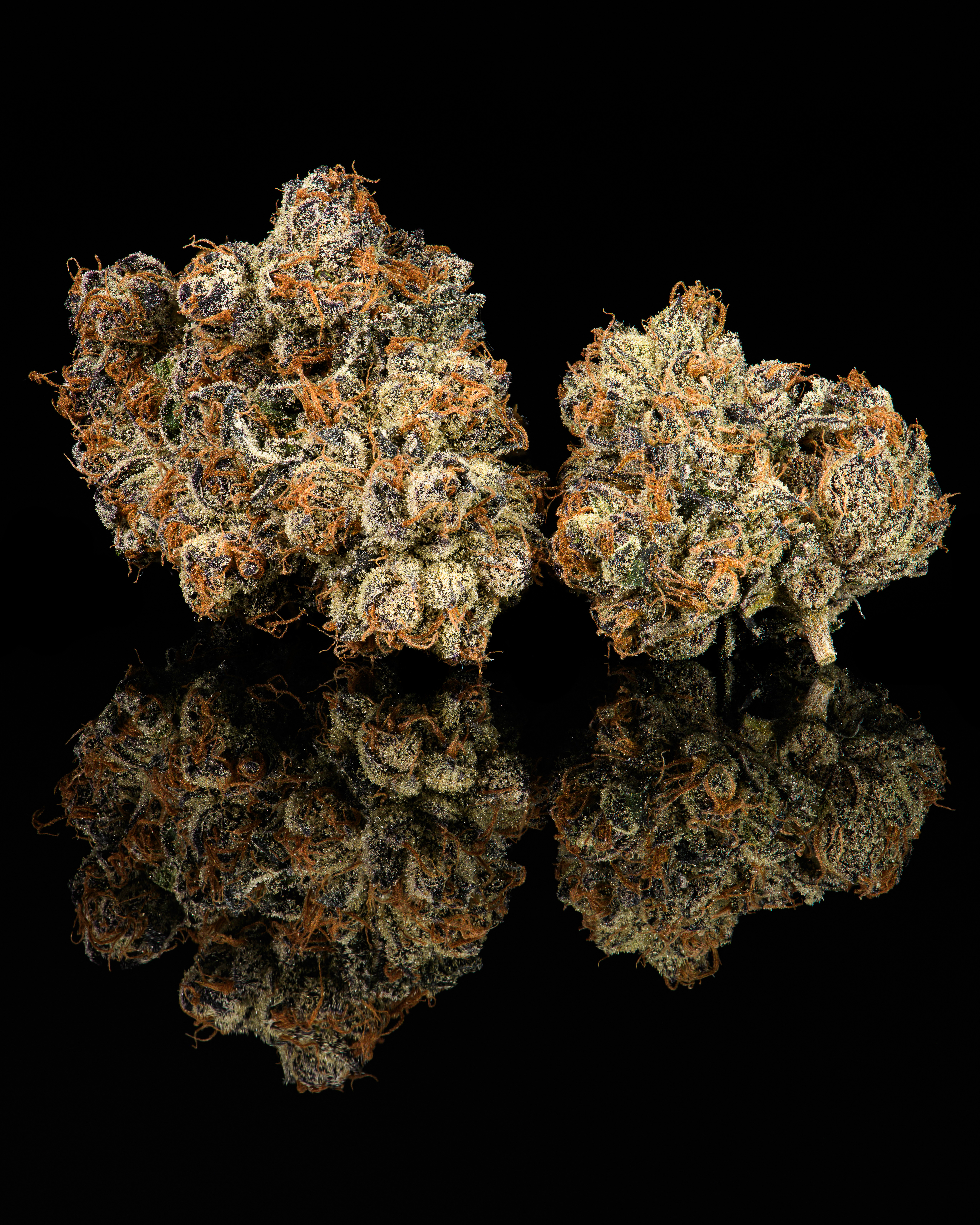 Moonwalkers 3.5G Buds