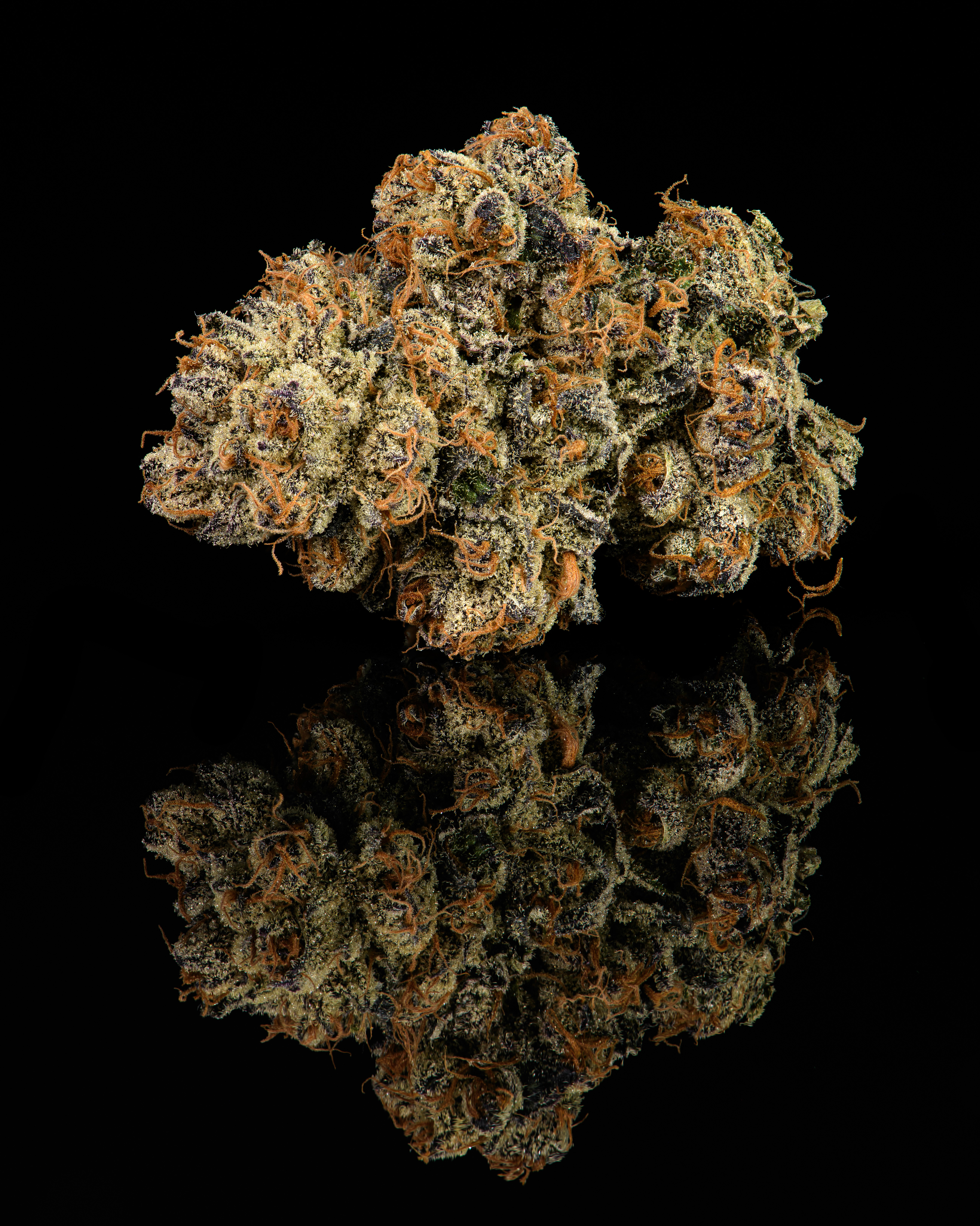 Moonwalkers 3.5G Buds