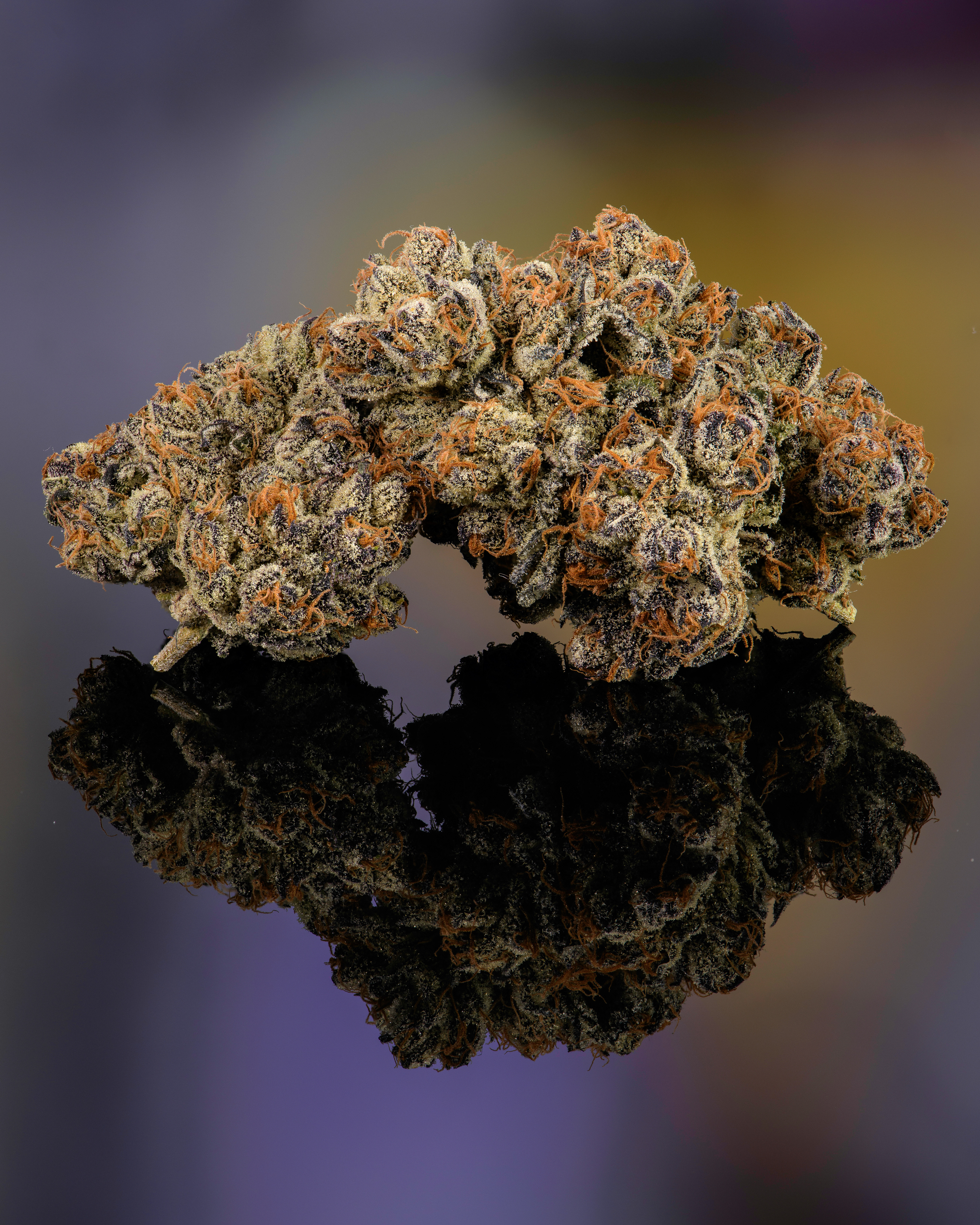 Moonwalkers 3.5G Buds