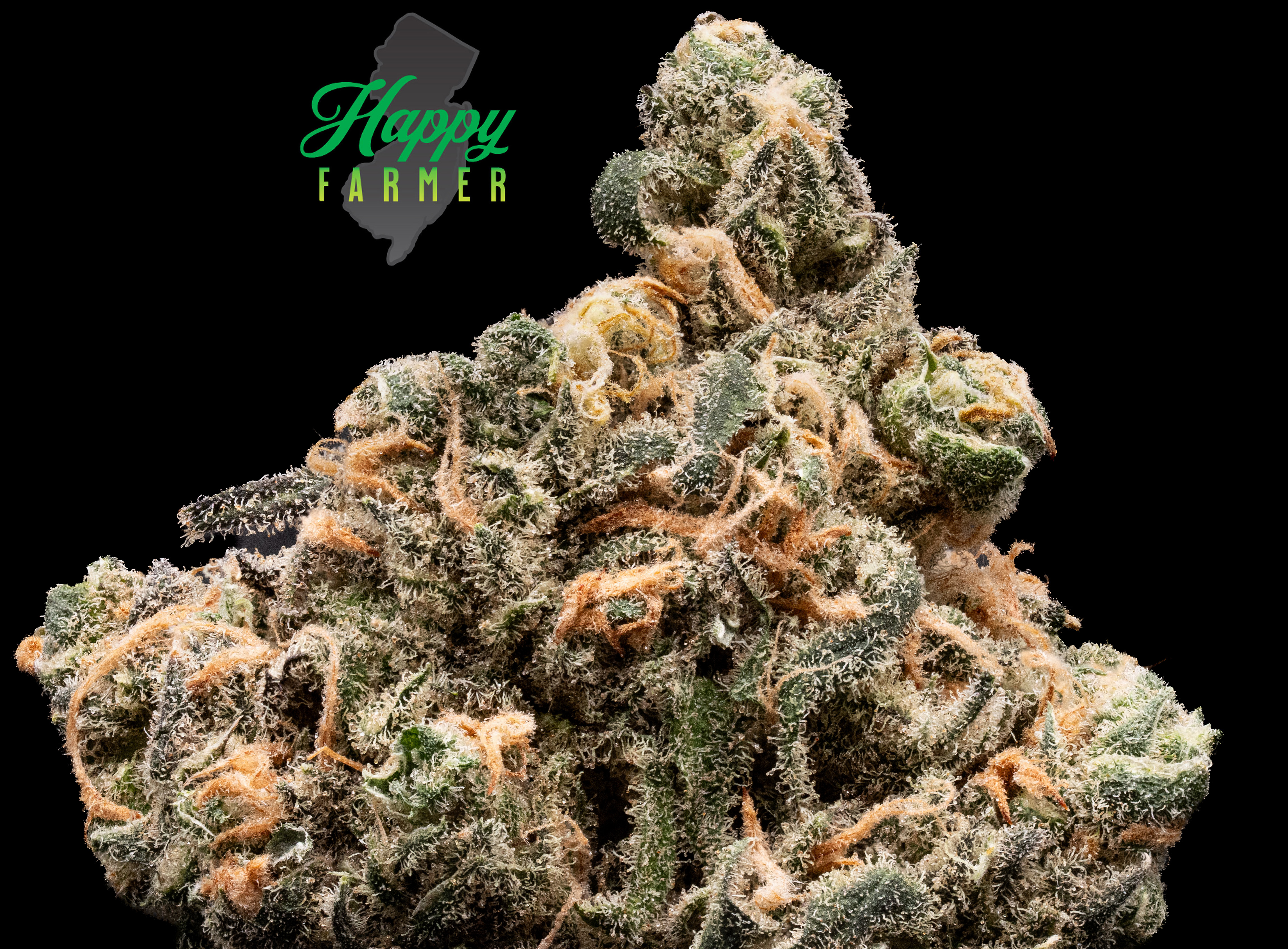 Blue Dream 3.5G Flower