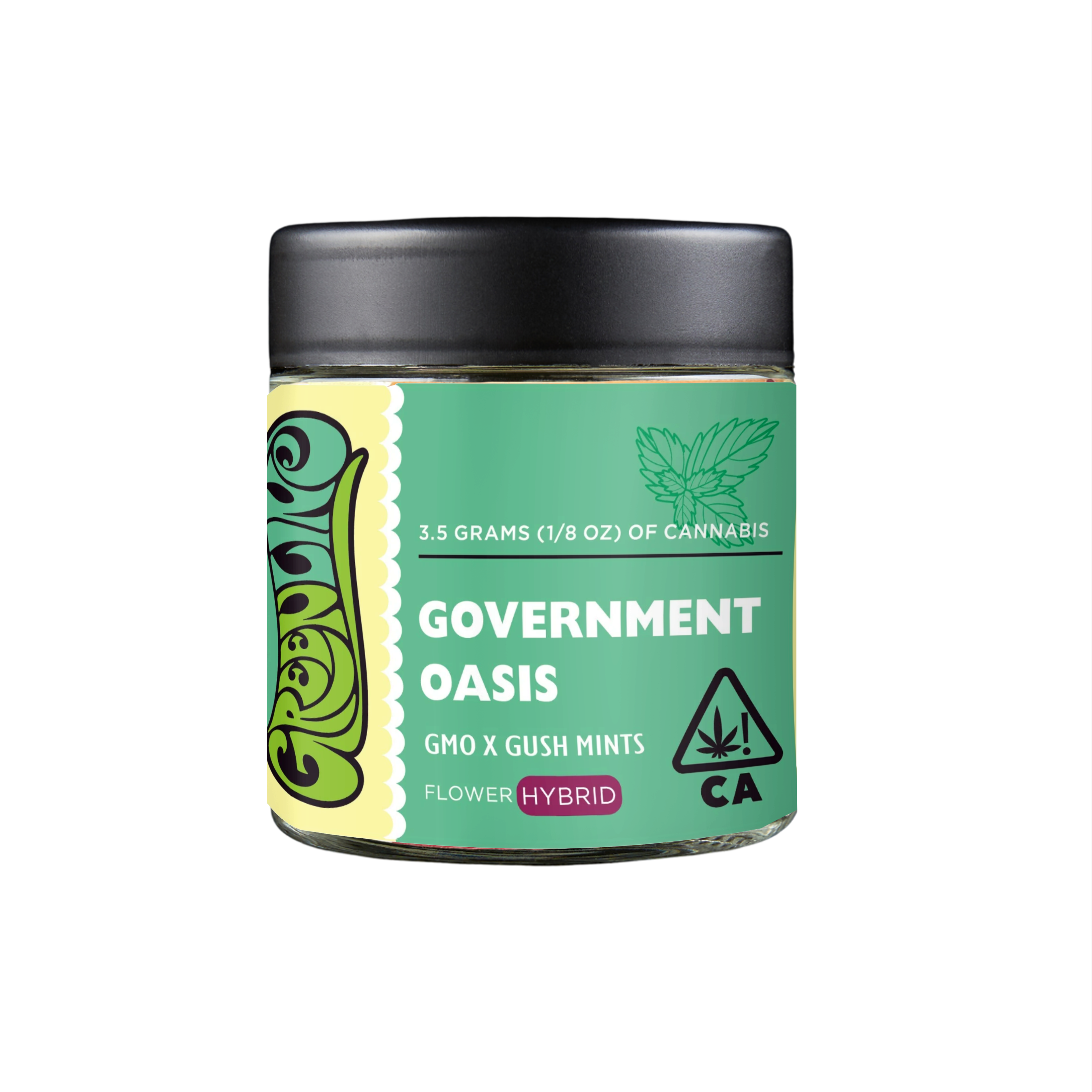 Government Oasis 3.5G