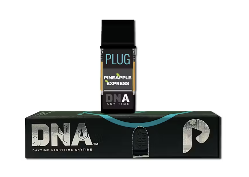Plug Play - Pineapple Express 1G
