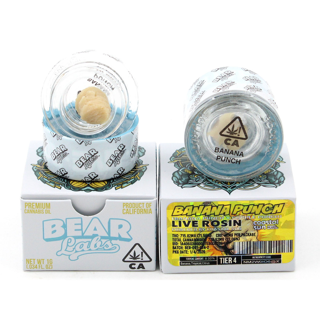 The Syndicate - Bear Labs