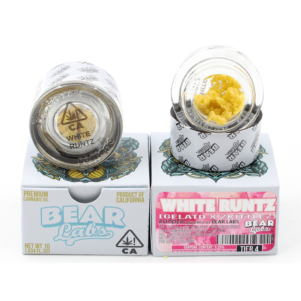 The Syndicate - Bear Labs