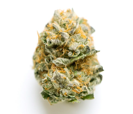 Rythm - Bananaconda (28g) (h)