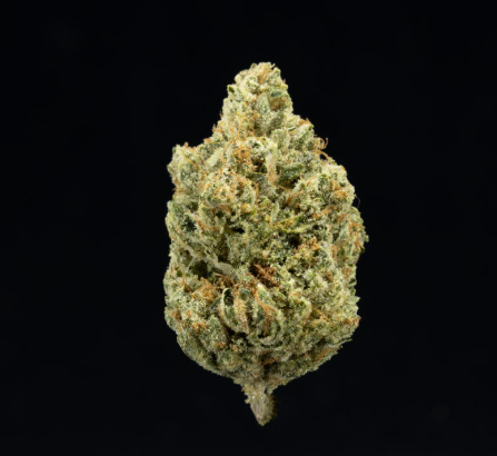 Upnorth - Headband (3.5g) (h)