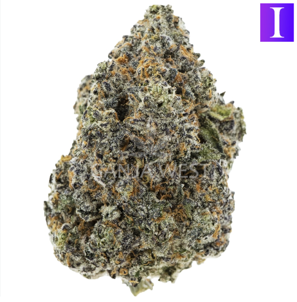 Outfitters - Cadillac Cookies (3.5g) (i)