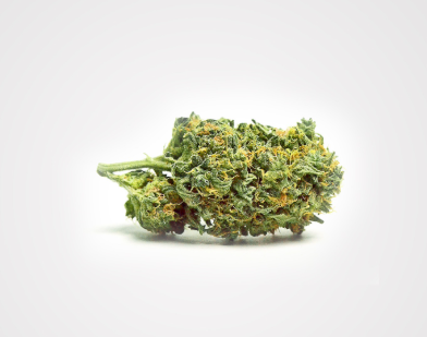 Natures Grace - Powder Keg (7g) (h)