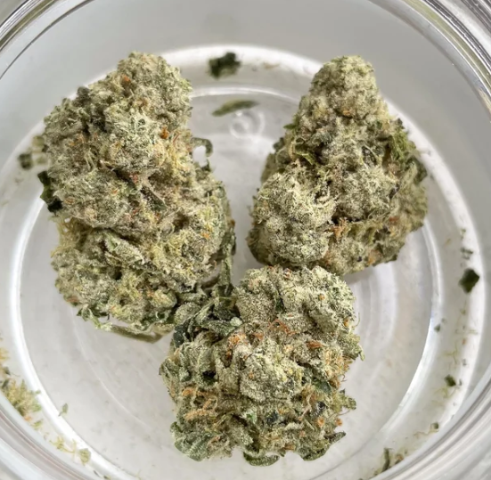 Rythm - Animal Scout (3.5g) (ih)