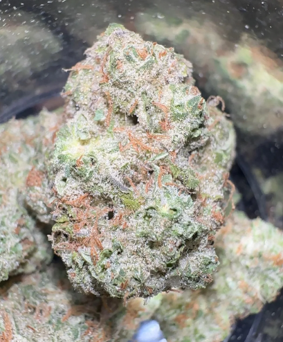 Revolution - Bakers Dream (7g) (h)