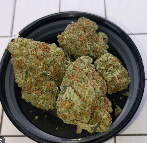 Revolution - Samba Slapz (14g) (s)