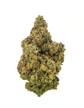 Revolution - Paradise (3.5g) (s)