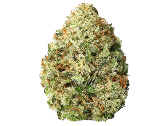 UPNORTH - NF-1 (3.5G) (I)