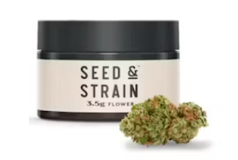 Seeds & Strain - Guava Bomb (3.5g) (h)