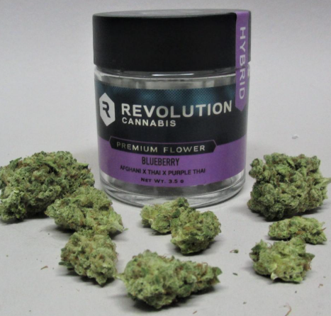 Revolution - Blueberry (7g) (h)