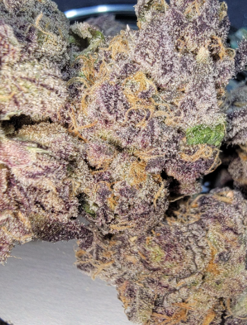 Otherside - Gelato #33 (14g) (ih)