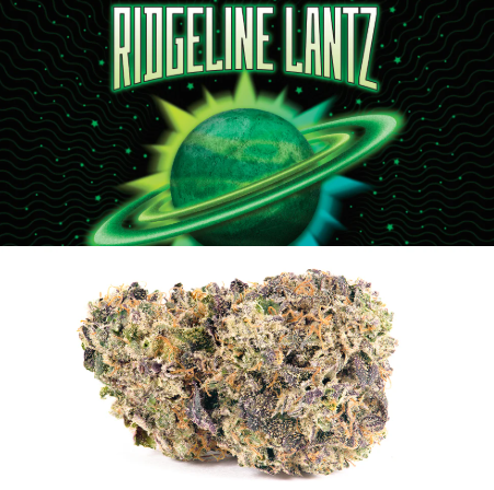 Cookies - Ridgeline Lantz (3.5g) (i)