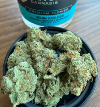 Revolution - Indiana Bubblegum (3.5g) (i)