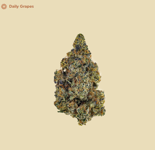 Nez - Daily Grapes (3.5g) (h)