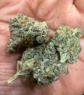 Revolution - Spicy Dunker (7g) (h)