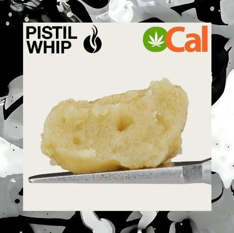 PAPAYA X STRAWGUAVA #6 (1G) [H] - COLD CURE ROSIN