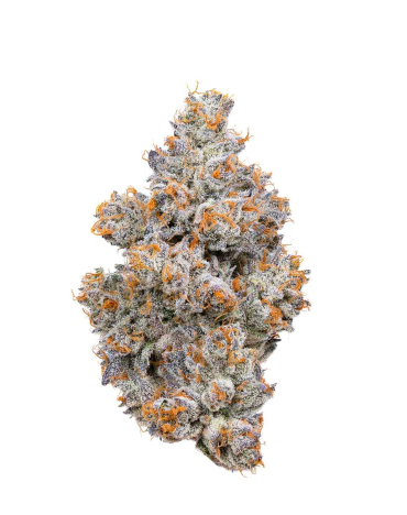 NIGHTSHADE 3.5G