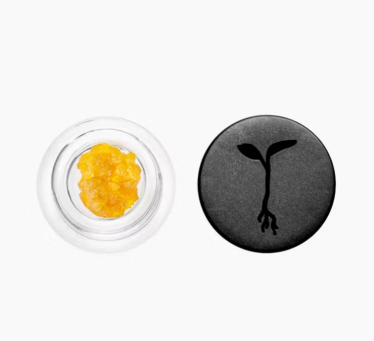 RAW GARDEN - CARBON FIBER LIVE RESIN 1G
