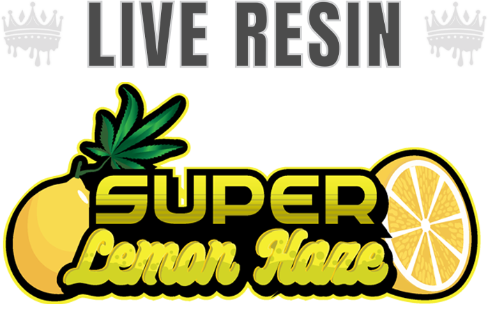 MUHA MEDS - SUPER LEMON HAZE LIVE RESIN ALL IN ONE 1G