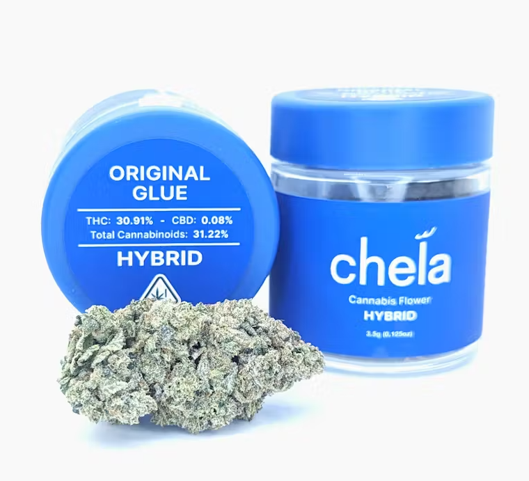 Glue Blue Jar Hybrid