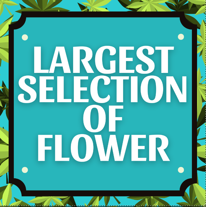 LARGEST SELECTION OF FLOWER