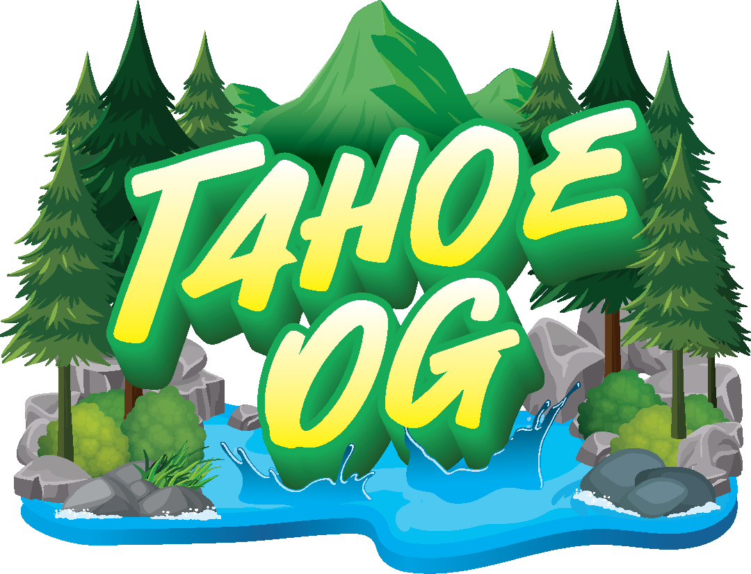 MUHA MEDS - TAHOE OG ALL IN ONE 1G