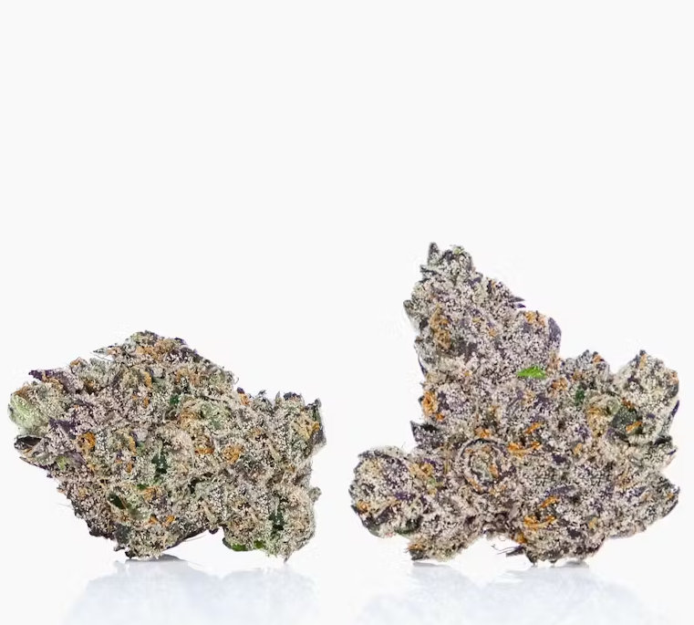 LAX PACKS - TANGIE FEVER 7G (SATIVA HYBRID)