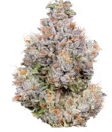 ALIEN LABS - AREA 41 3.5G (INDICA HYBRID)