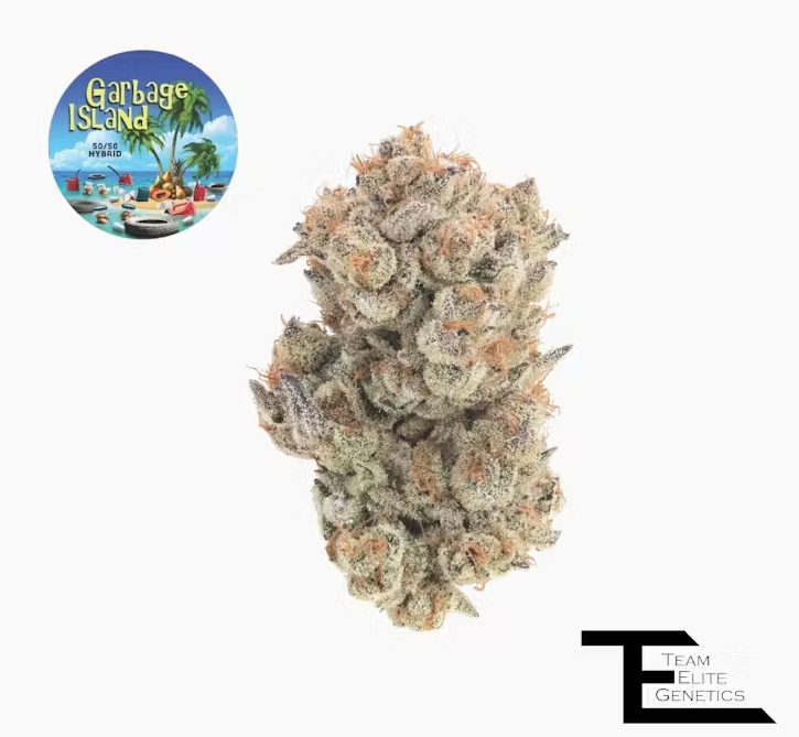 TEAM ELITE GENETICS GARBAGE ISLAND 3.5G HYBRID