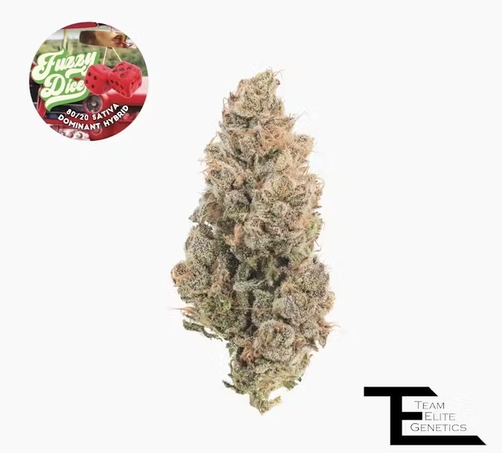 TEAM ELITE GENETICS FUZZY DICE SMALLS 14G SATIVA DOM HYBRID
