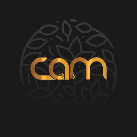 CAM -SUPER SILVER HAZE 5PK