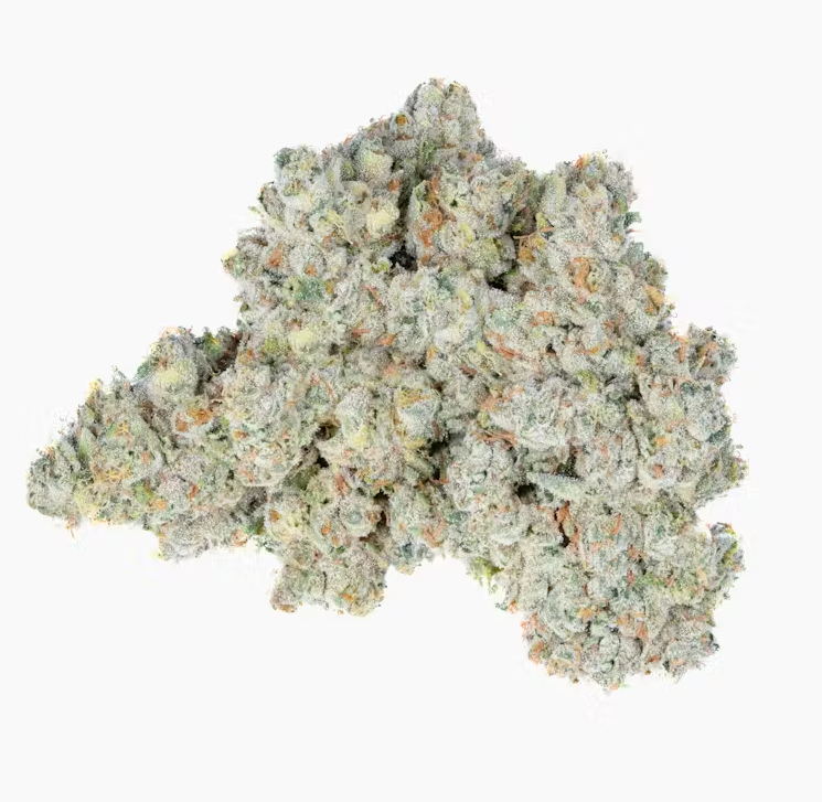 DARK WEB 3.5G